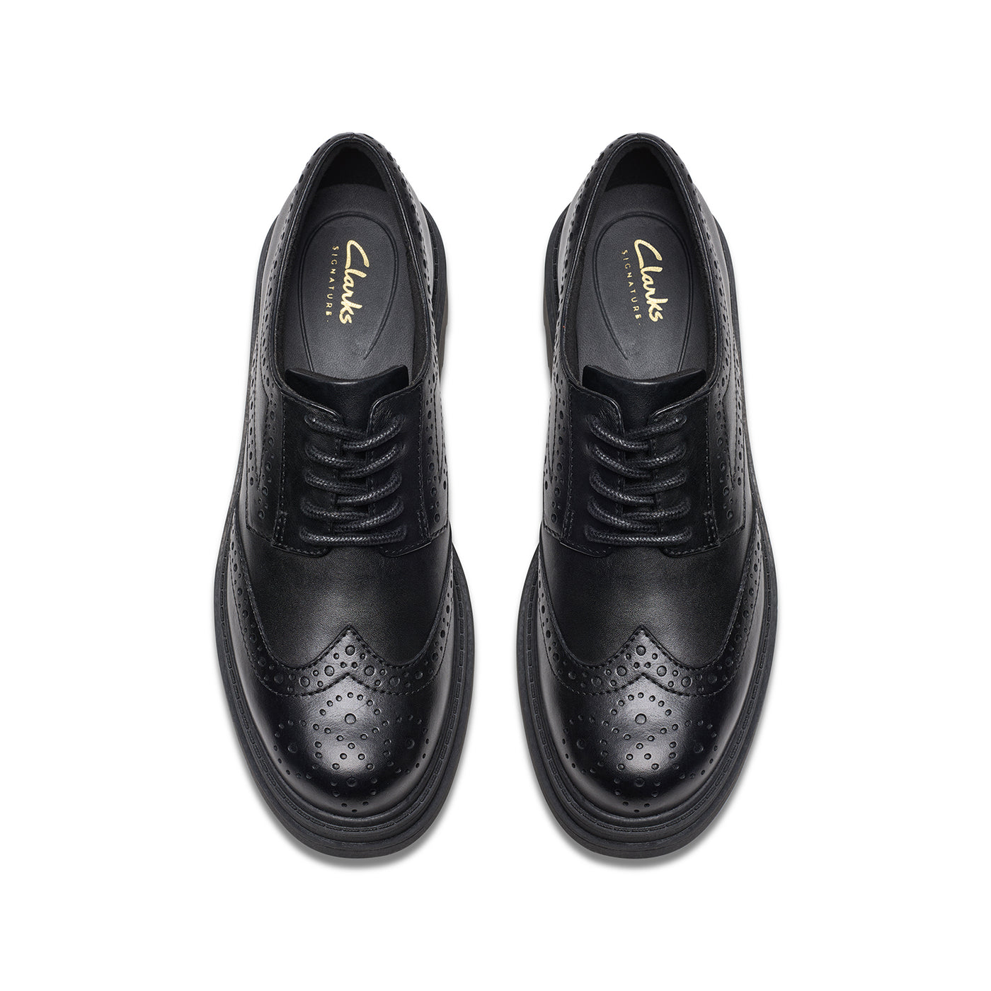 Womens - Orinoco 3 Derby Black Leather